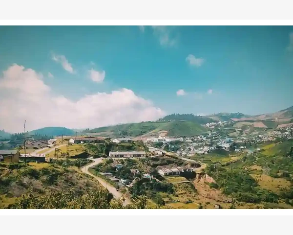 小儿止咳化痰茶饮用：中医科普指南